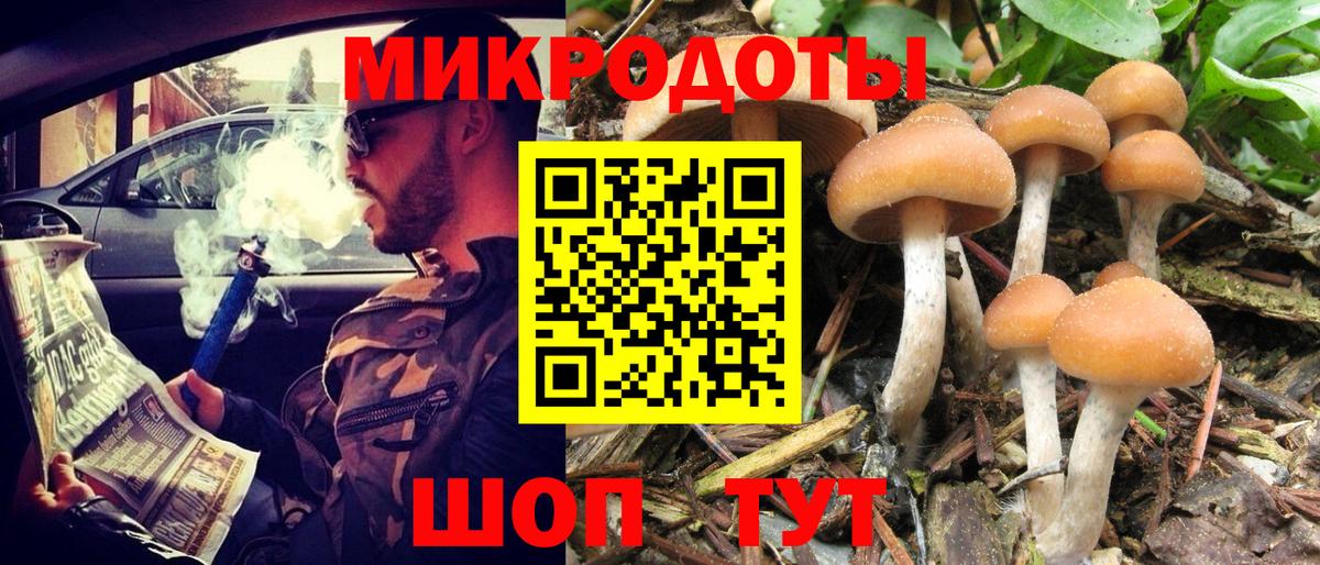 Галлюциногенные грибы GOLDEN TEACHER  Вход с VPN  Наро-Фоминск 